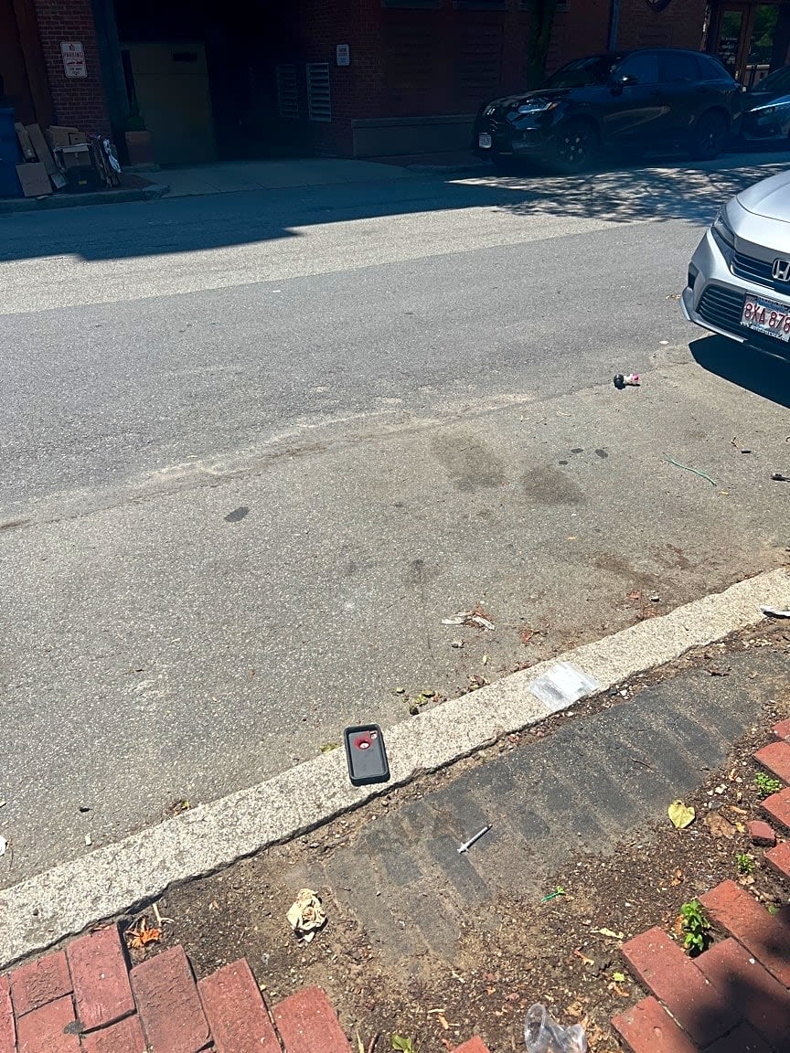 Image submitted with report