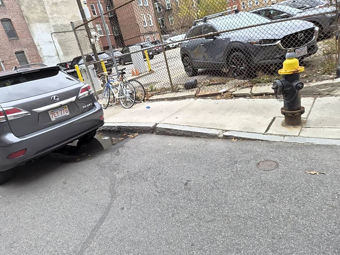 Image submitted with report