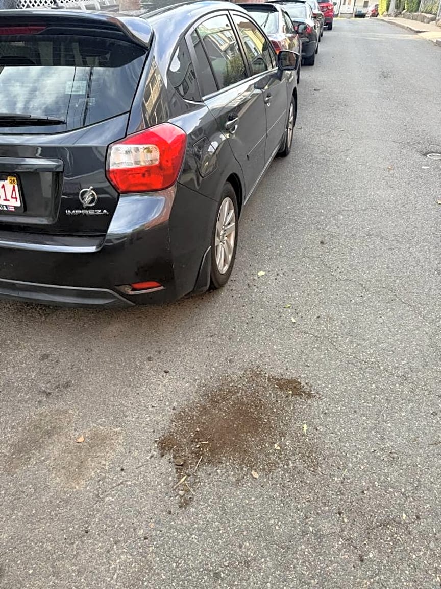 Image submitted with report