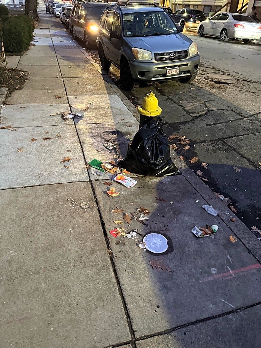 Image submitted with report