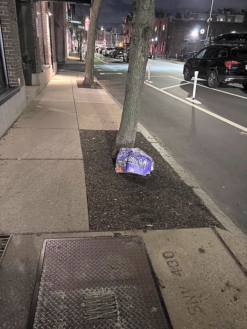 Image submitted with report