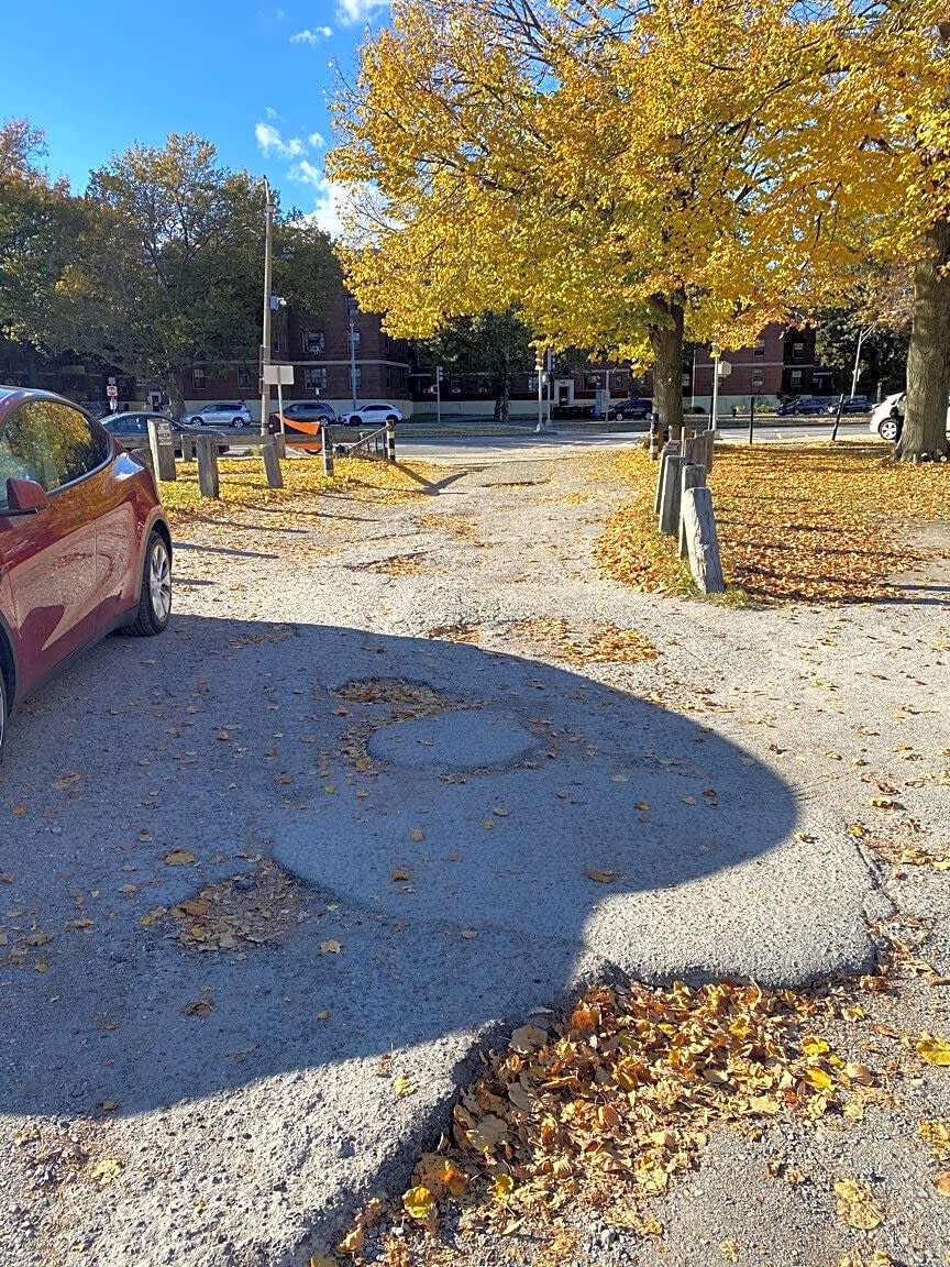 Image submitted with report