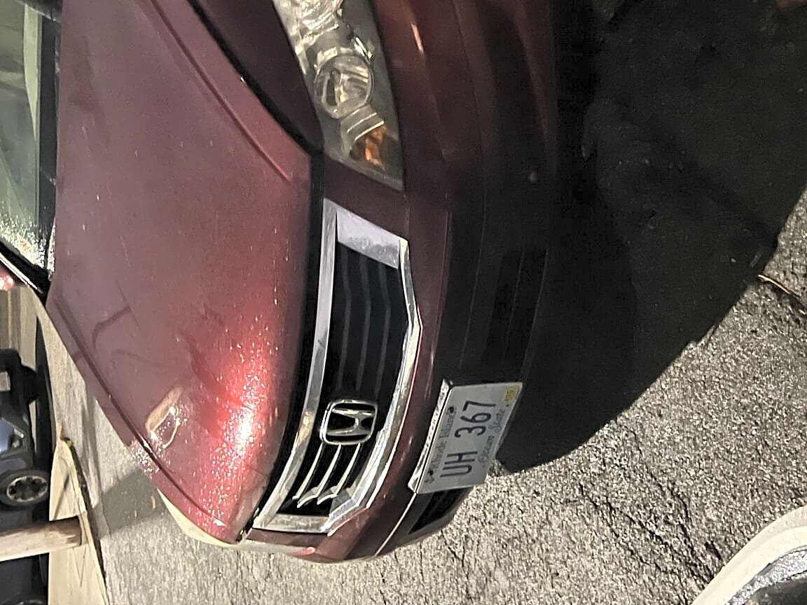 Image submitted with report