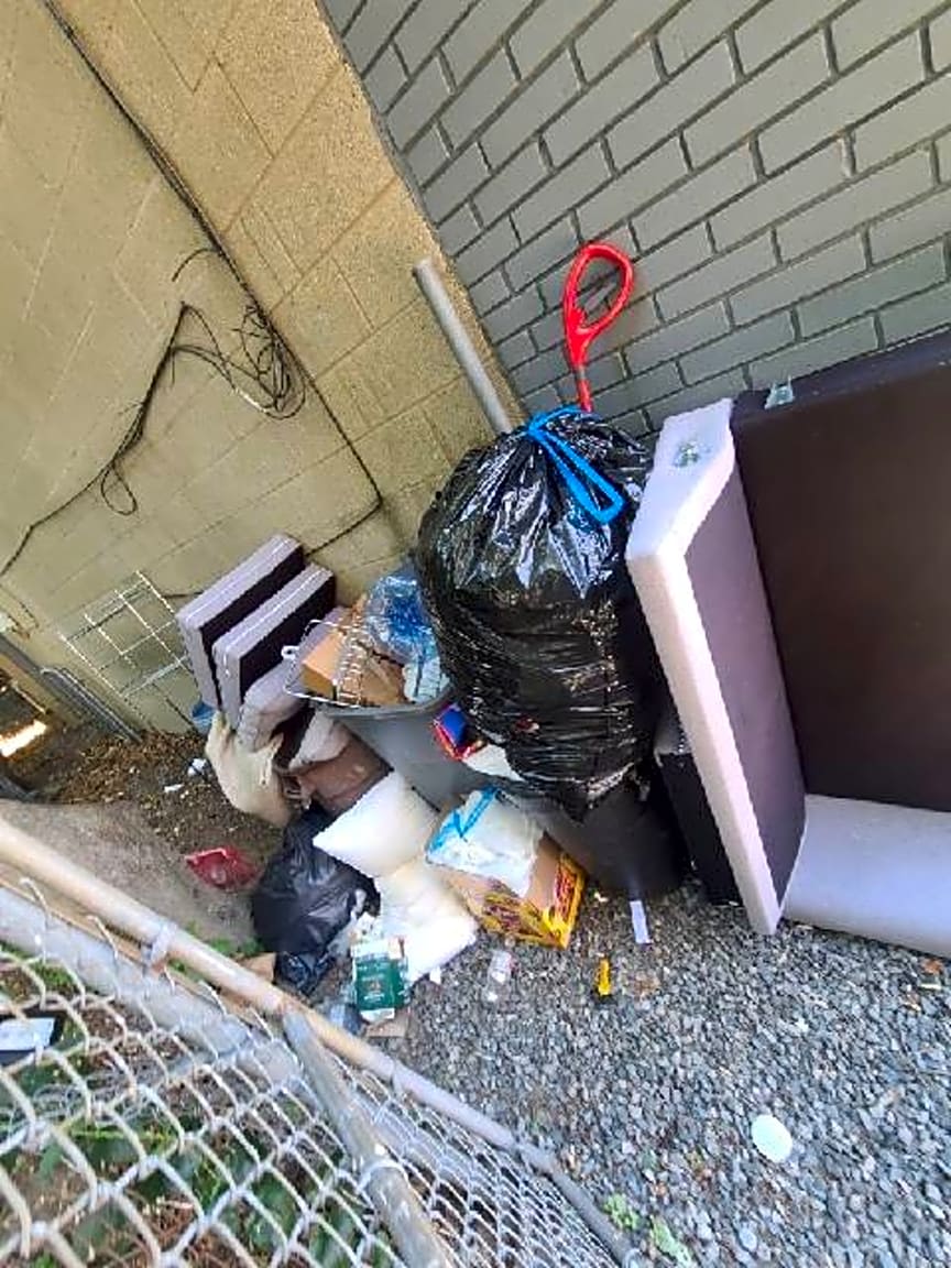 Image submitted with report