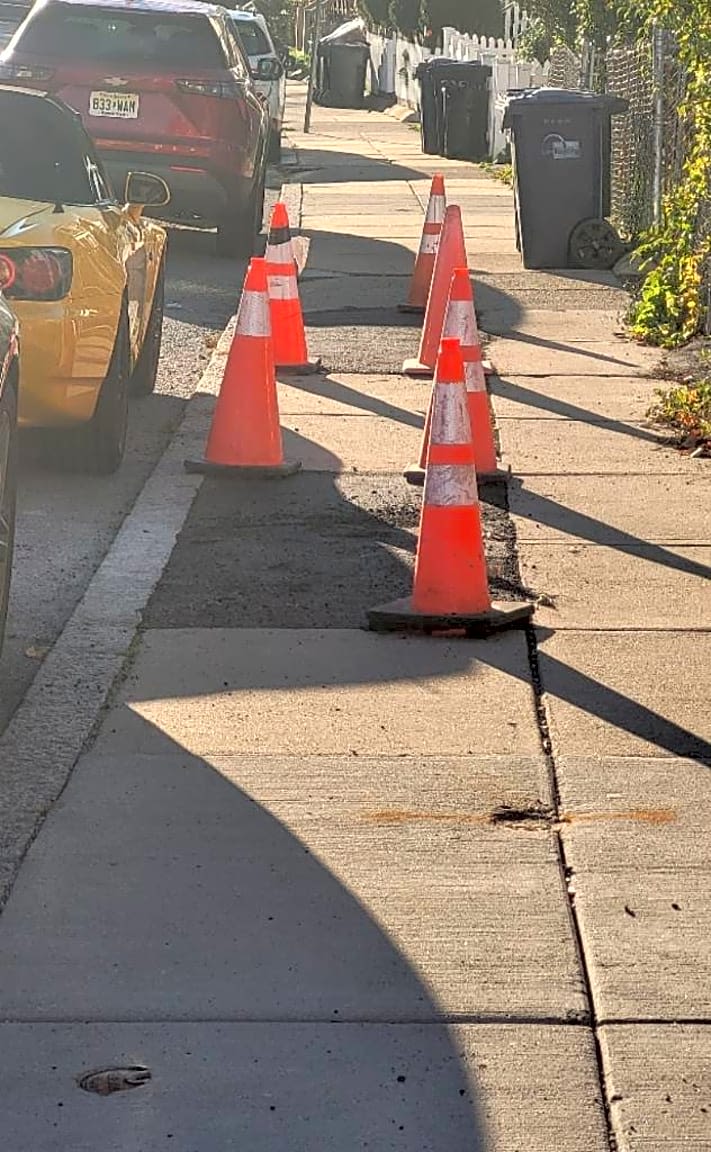 Image submitted with report