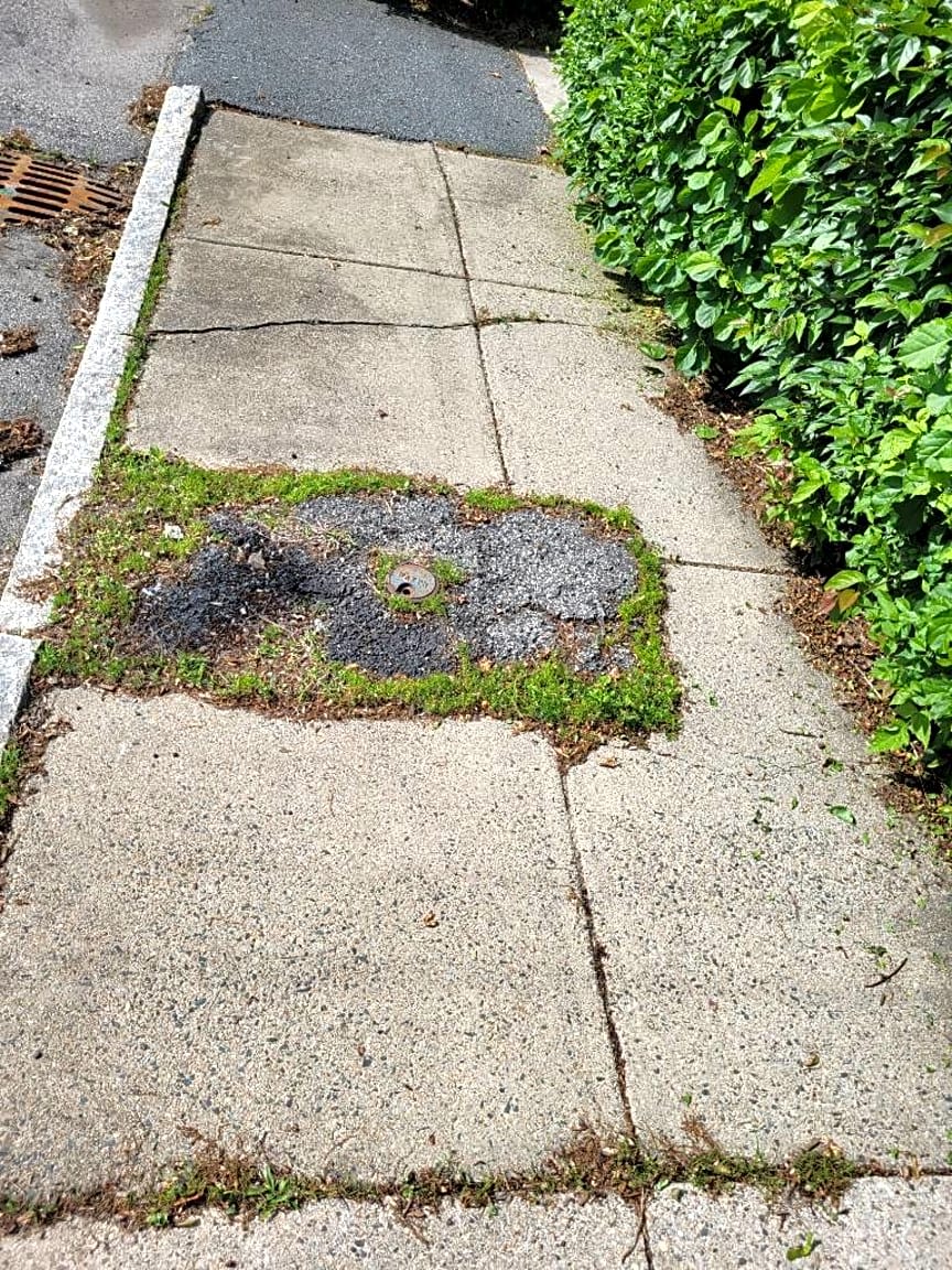 Image submitted with report