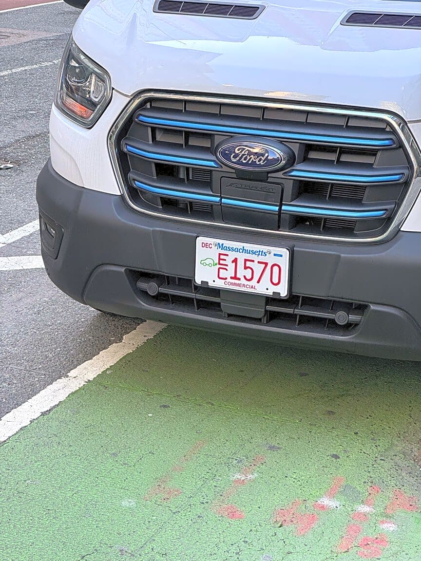 Image submitted with report