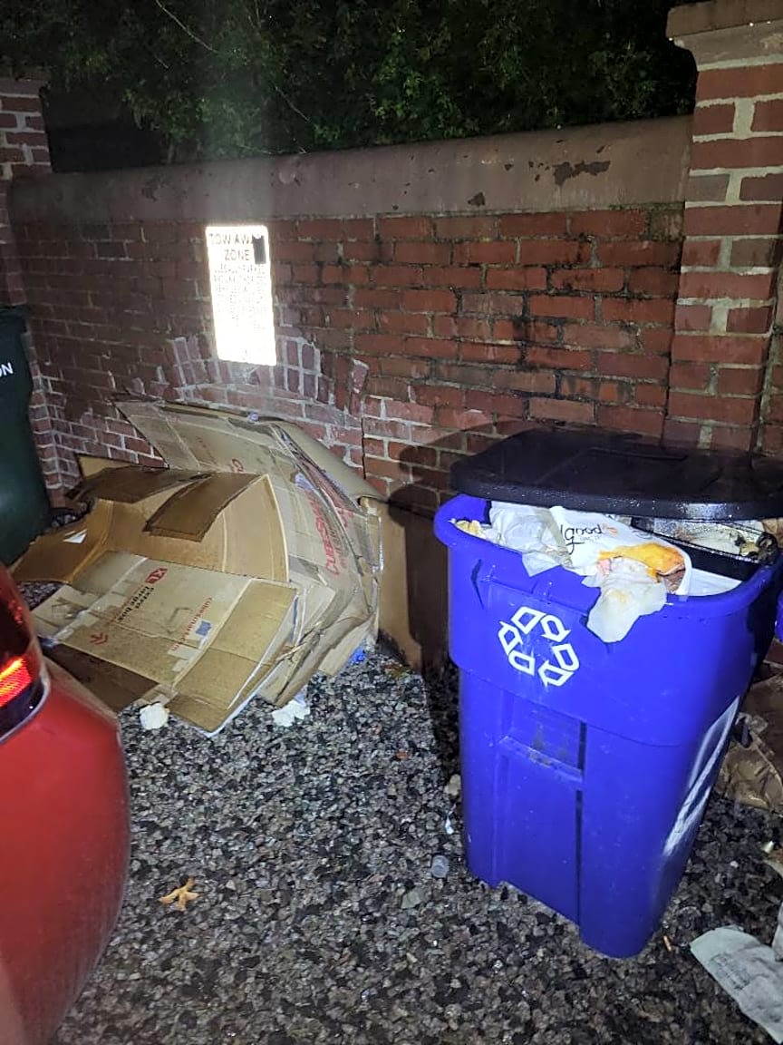 Image submitted with report