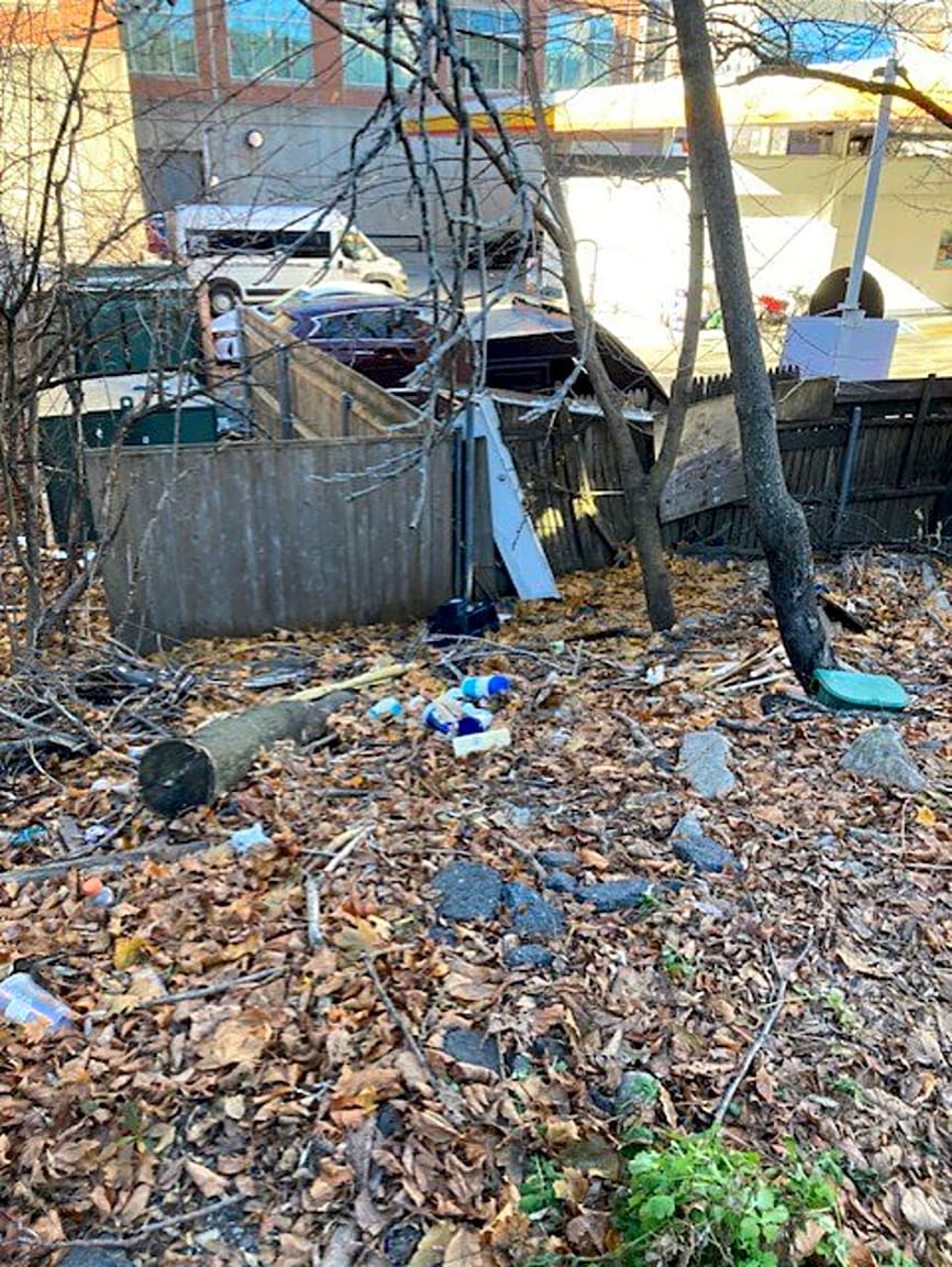 Image submitted with report