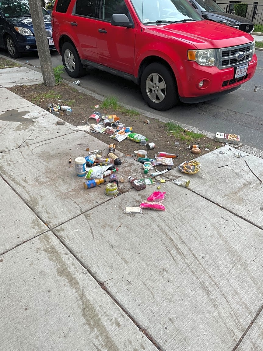 Image submitted with report