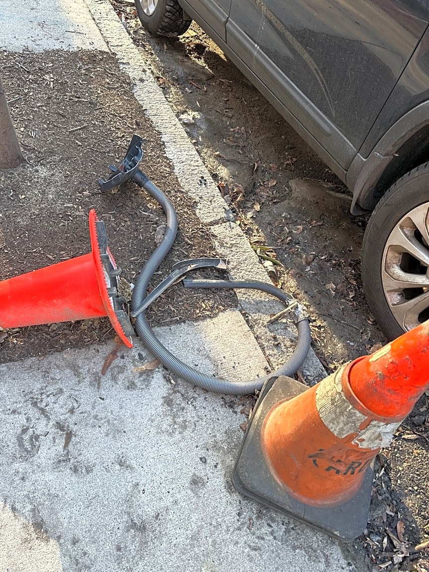 Image submitted with report