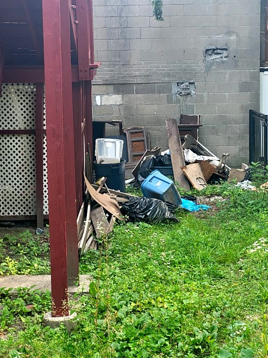 Image submitted with report