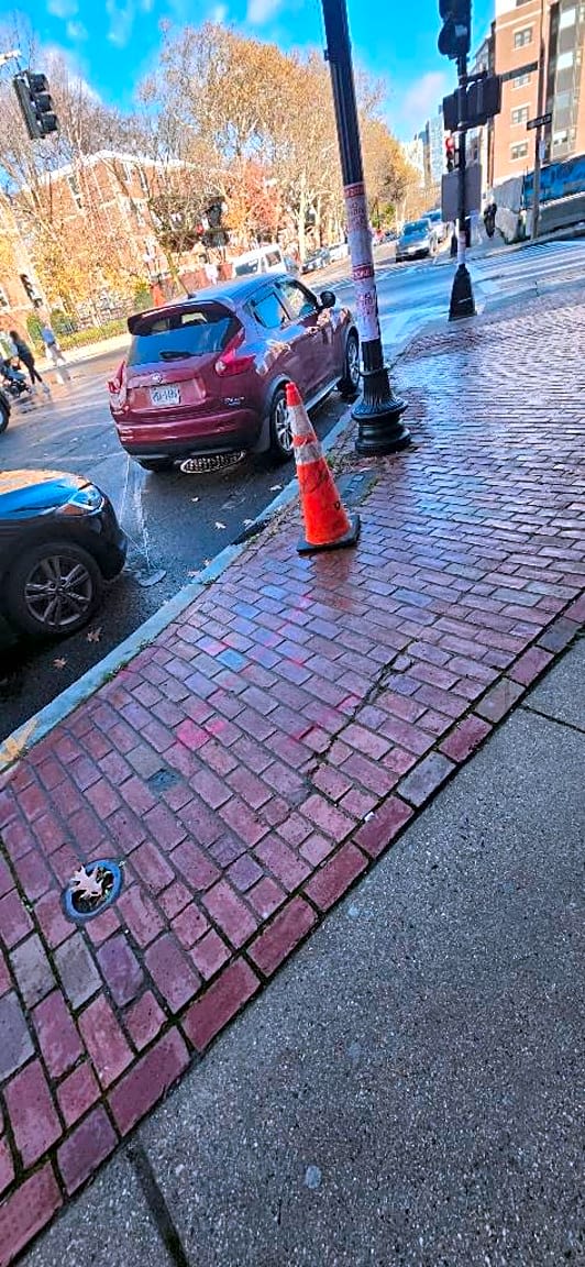 Image submitted with report