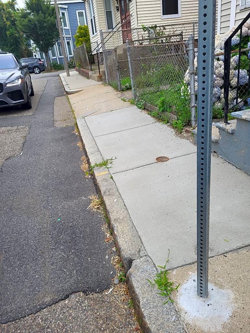 Image submitted with report