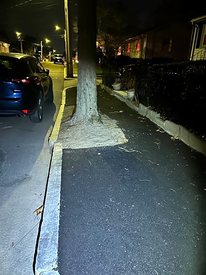 Image submitted with report