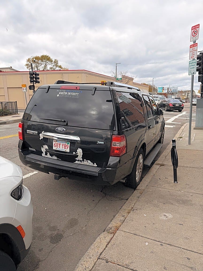 Image submitted with report