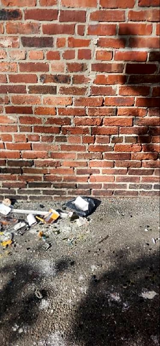 Image submitted with report