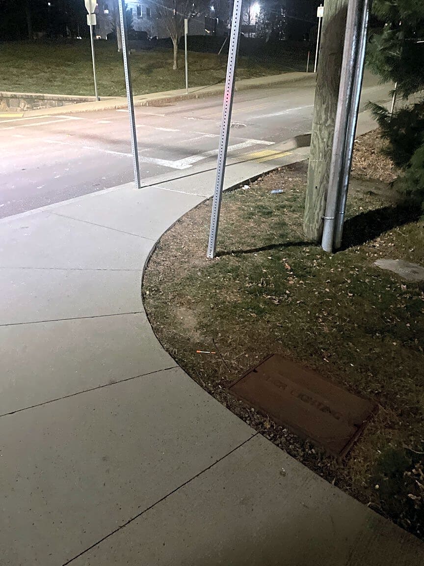 Image submitted with report