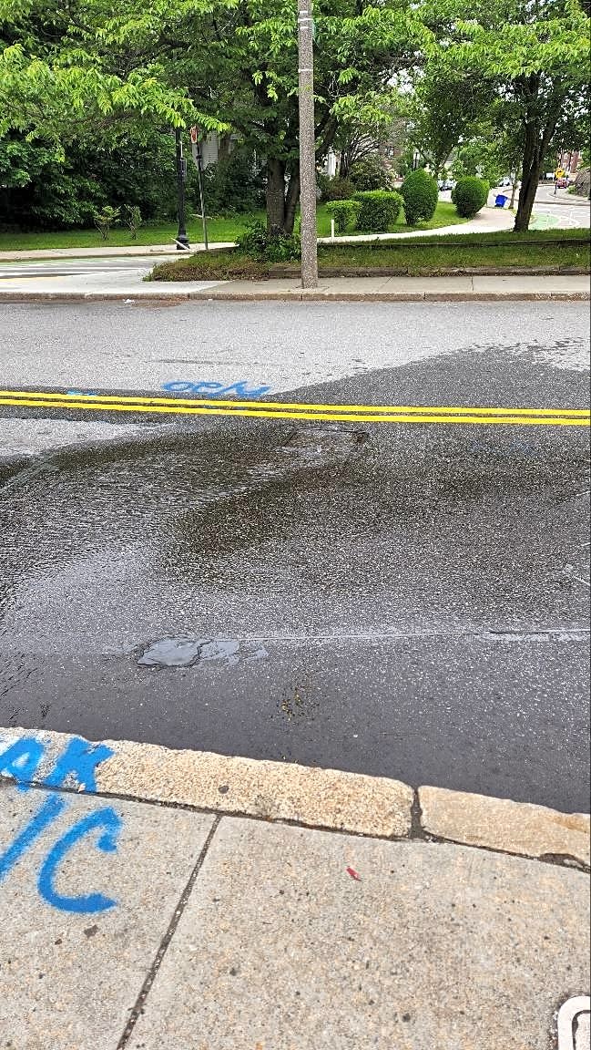 Image submitted with report