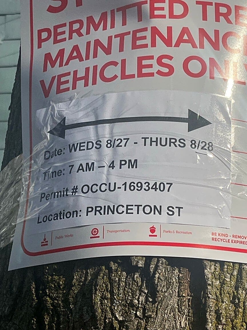 Image submitted with report