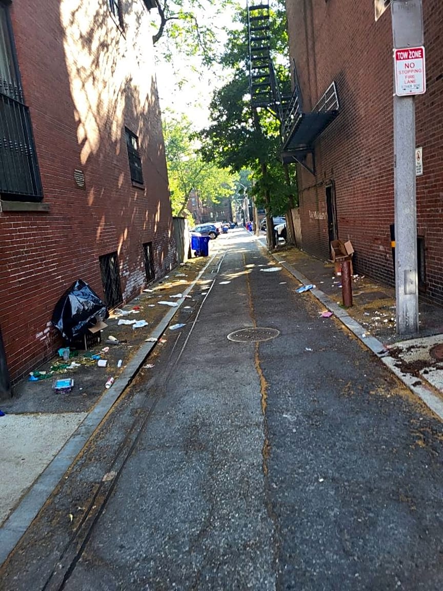 Image submitted with report