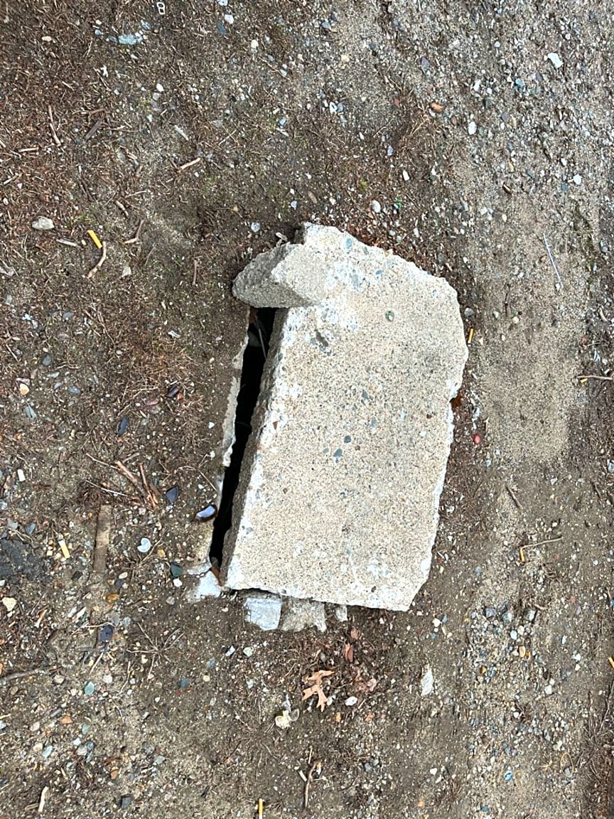Image submitted with report