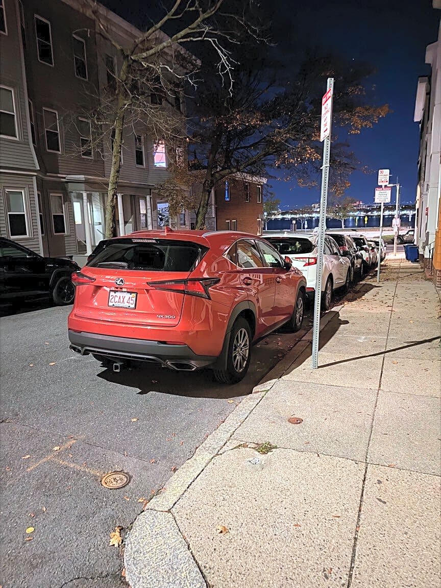 Image submitted with report