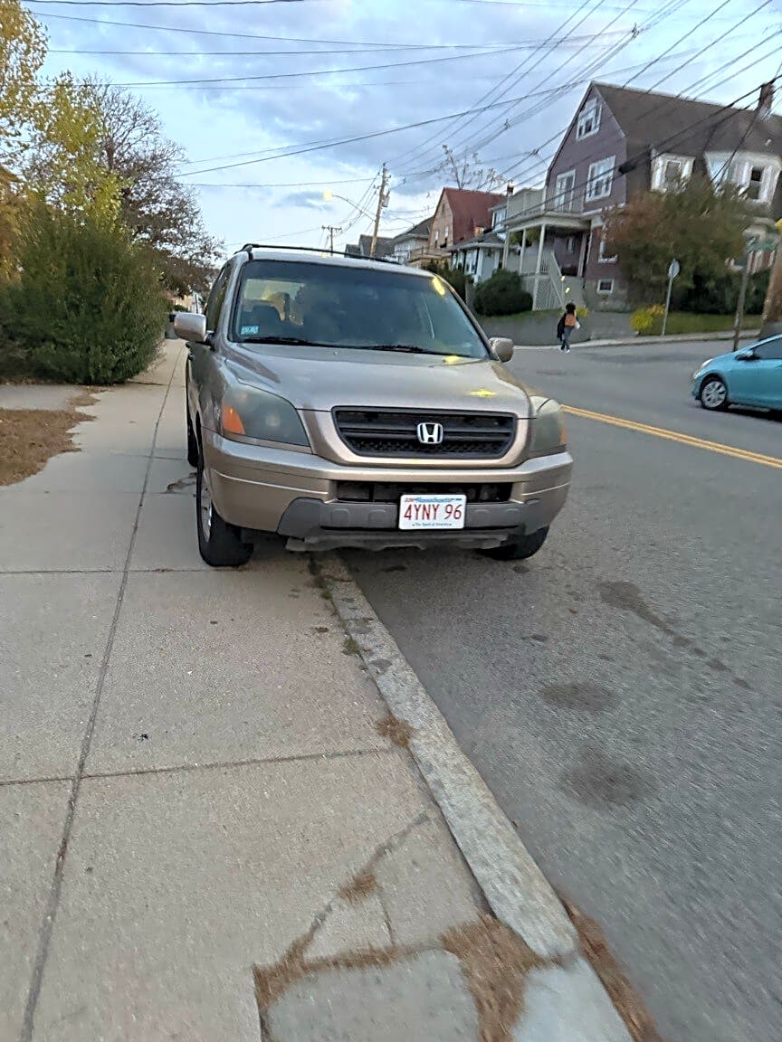 Image submitted with report