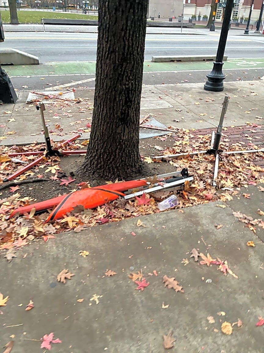 Image submitted with report