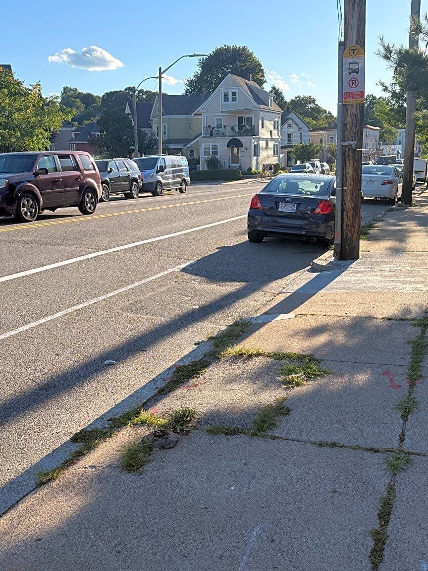 Image submitted with report