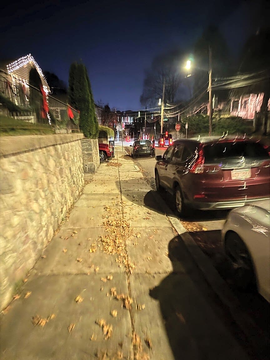 Image submitted with report