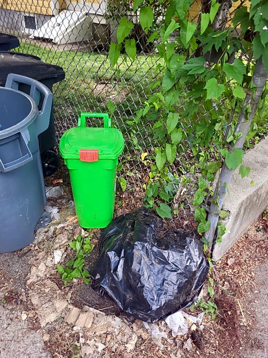 Image submitted with report