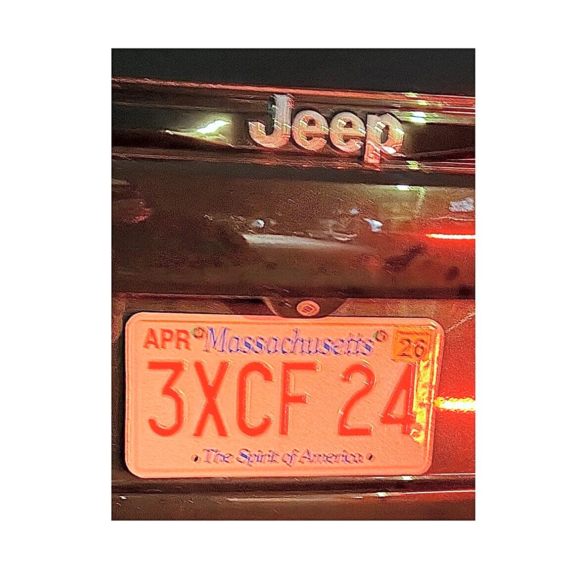 Image submitted with report