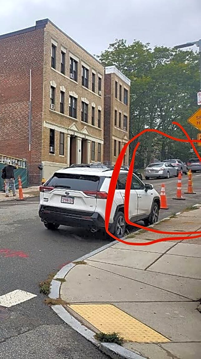 Image submitted with report