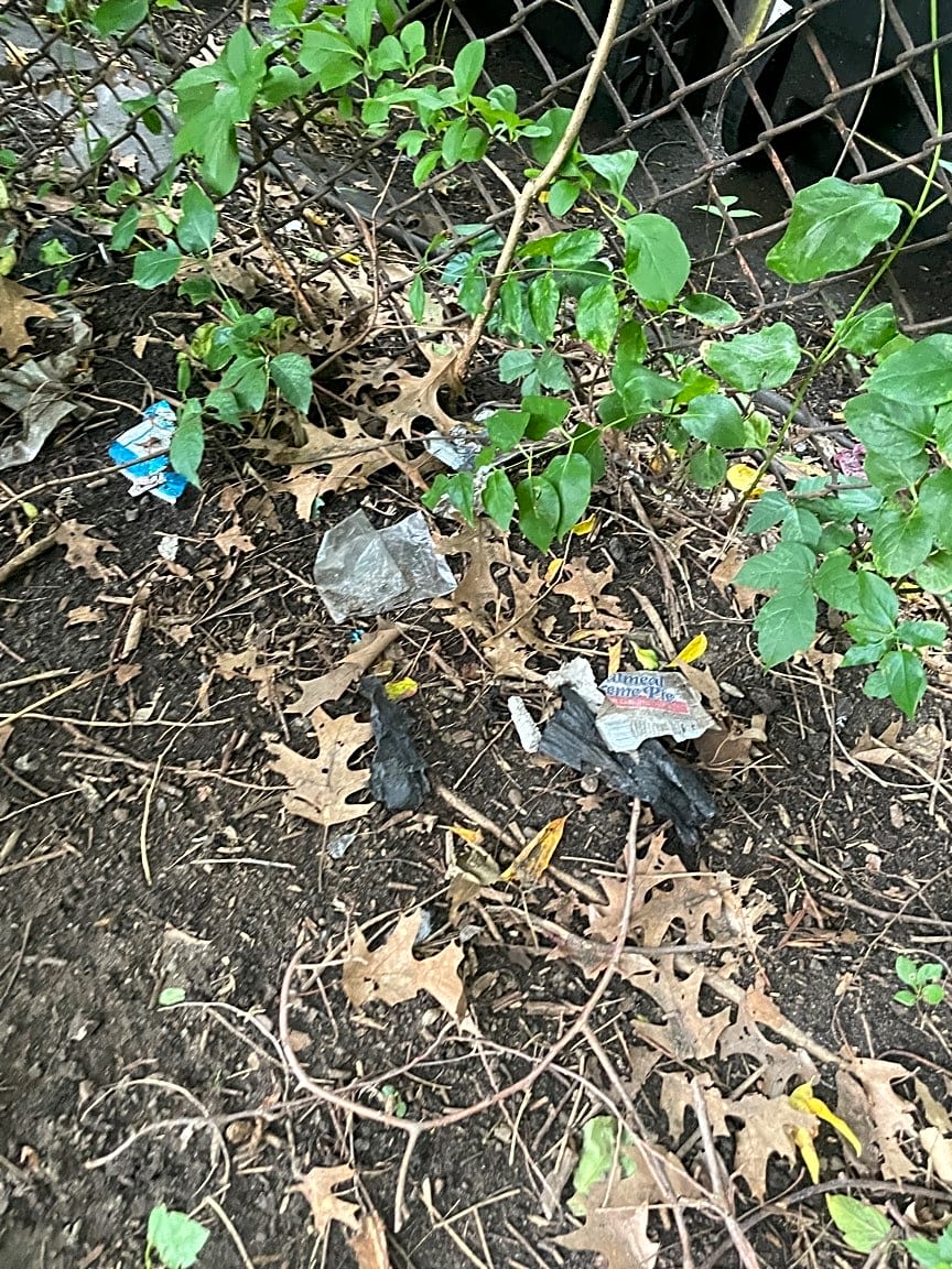 Image submitted with report