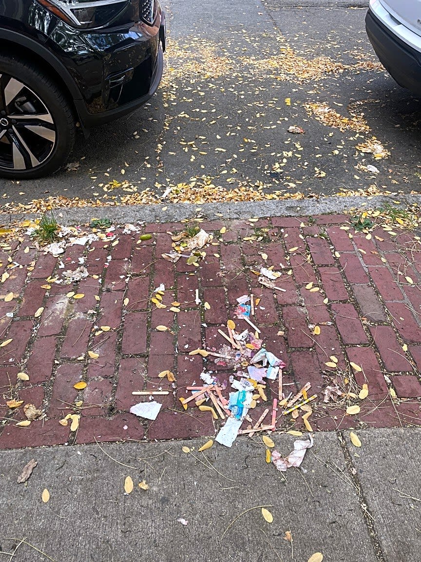 Image submitted with report