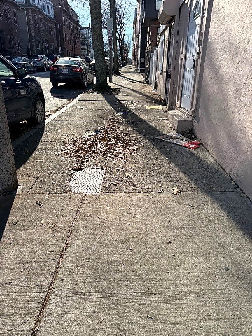 Image submitted with report