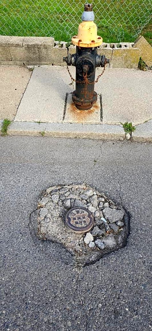 Image submitted with report