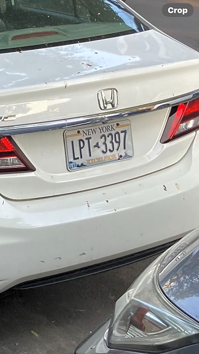 Image submitted with report
