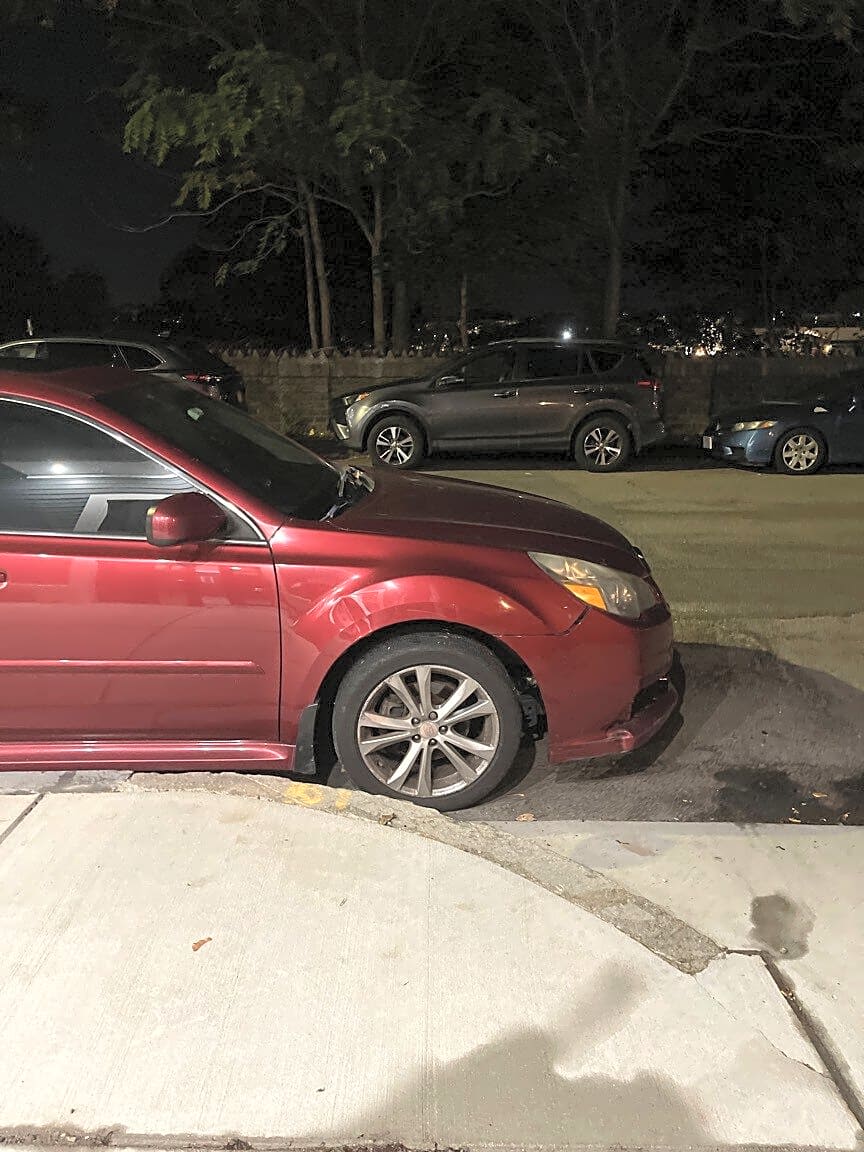 Image submitted with report