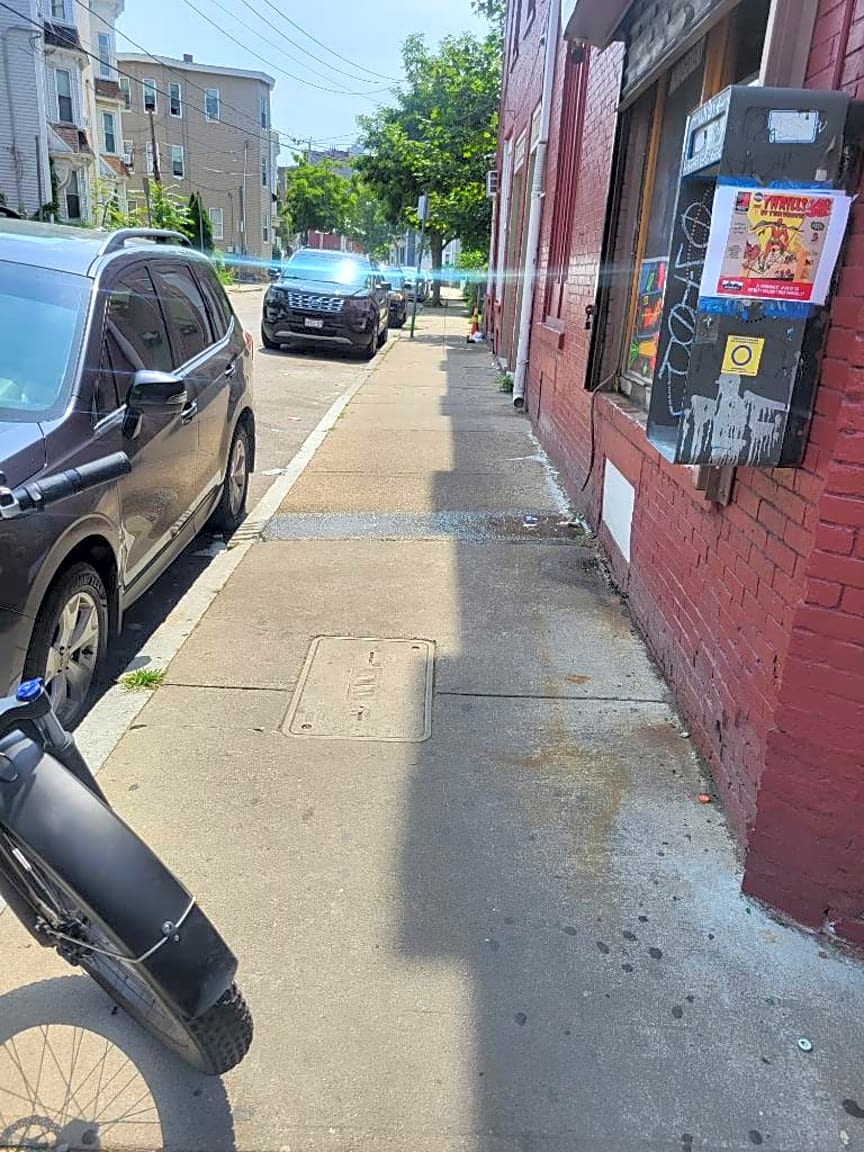 Image submitted with report