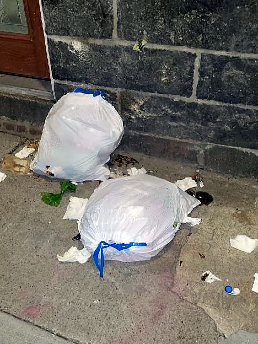Image submitted with report
