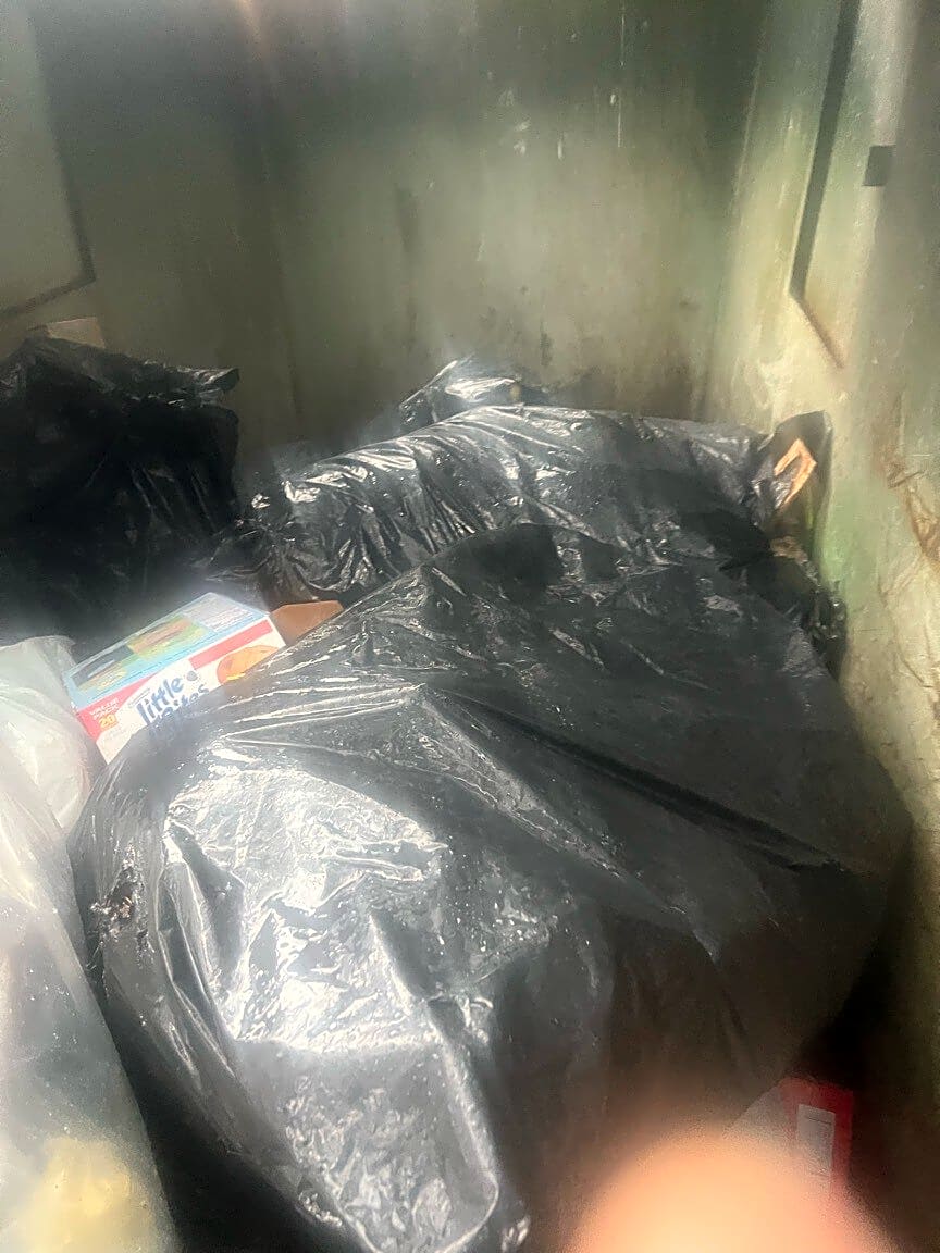 Image submitted with report