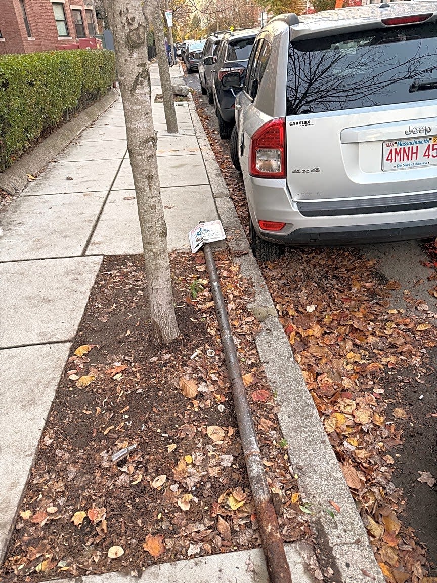 Image submitted with report