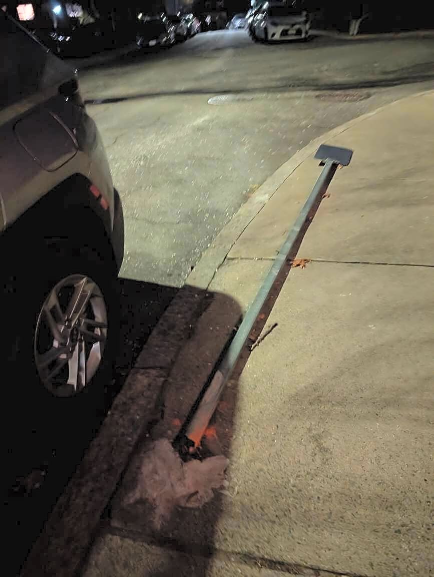 Image submitted with report