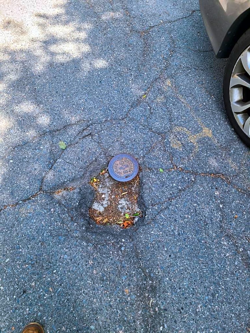 Image submitted with report