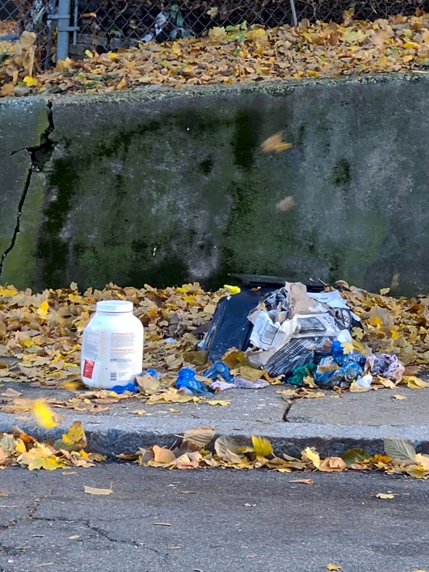 Image submitted with report