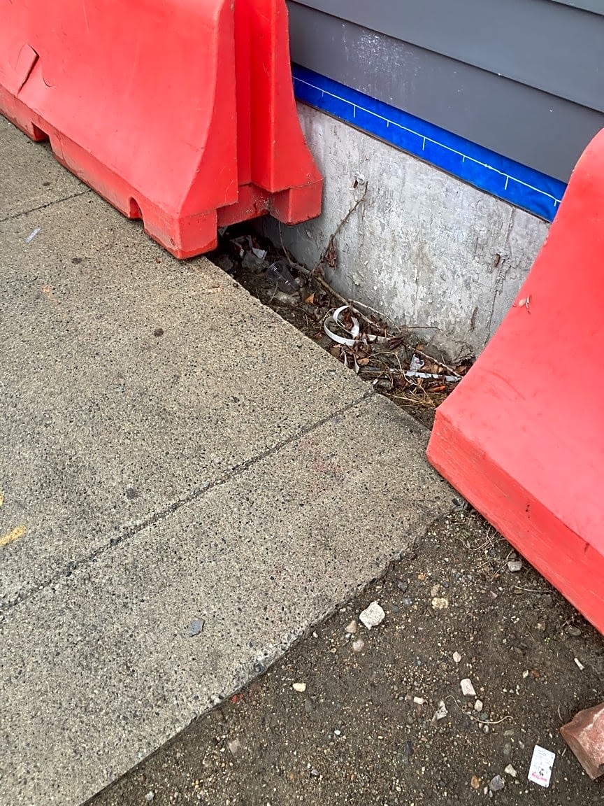 Image submitted with report