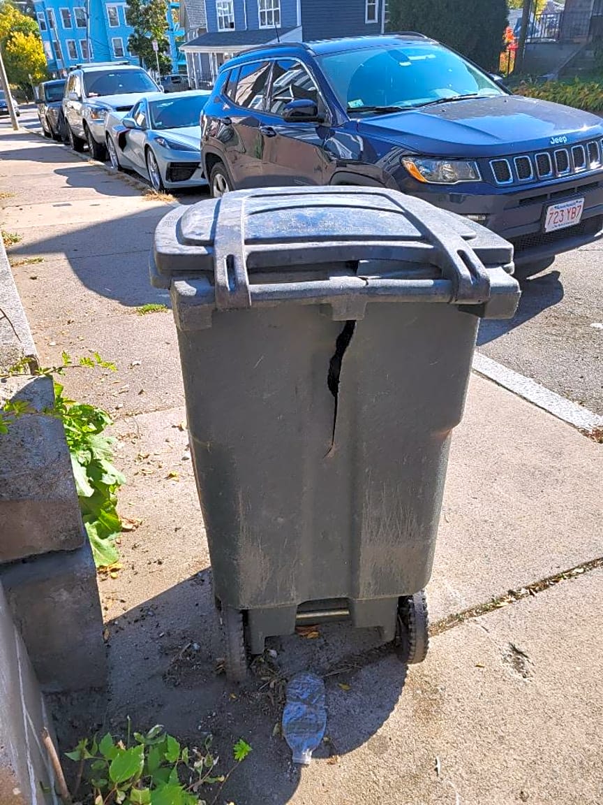 Image submitted with report