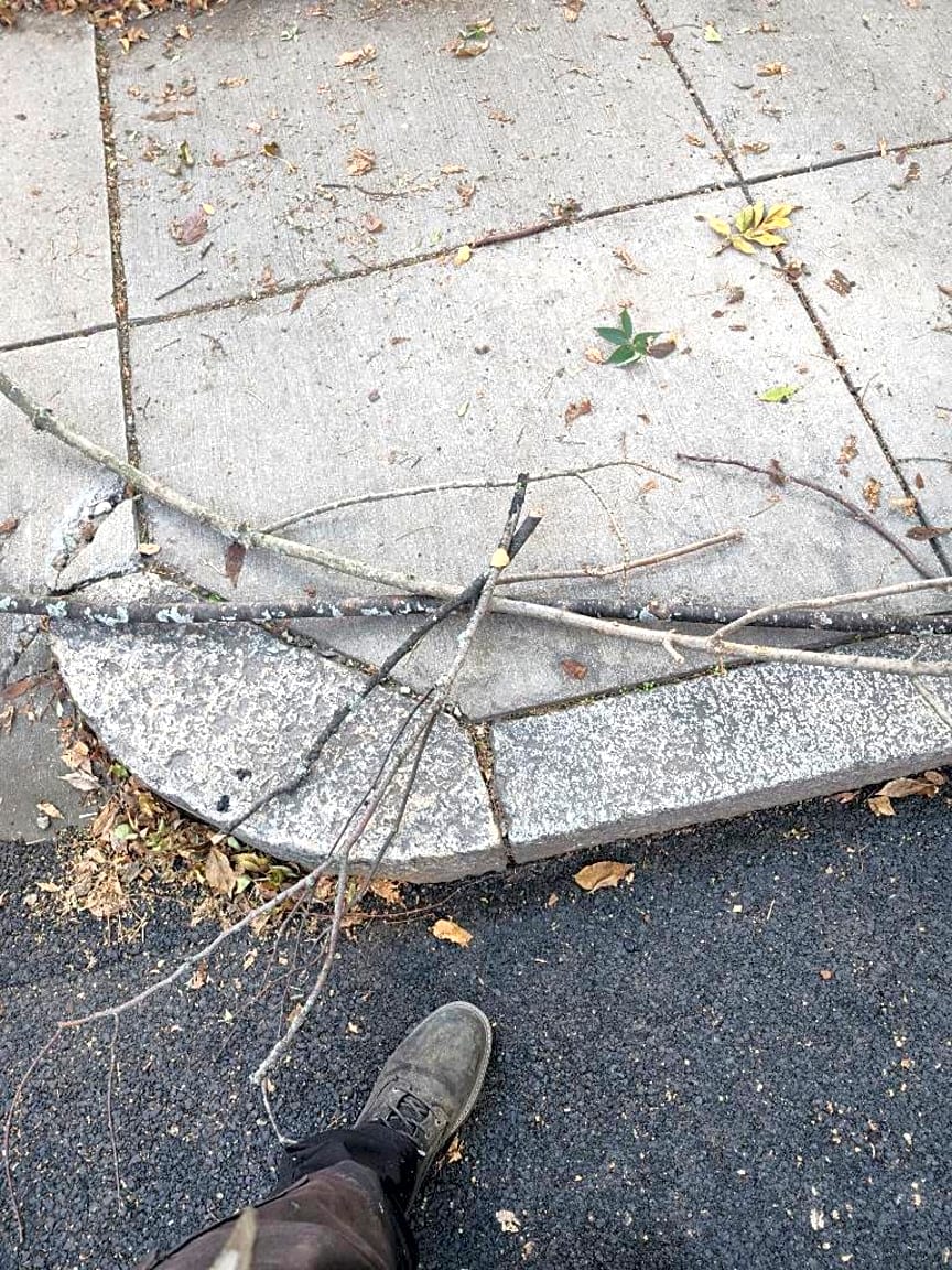 Image submitted with report